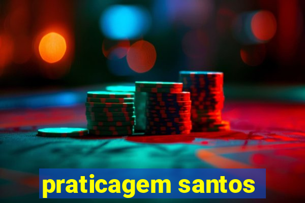 praticagem santos